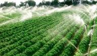 农业灌溉软管解决方案